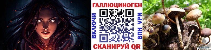 цены   Новороссийск  Псилоцибиновые грибы Cubensis 
